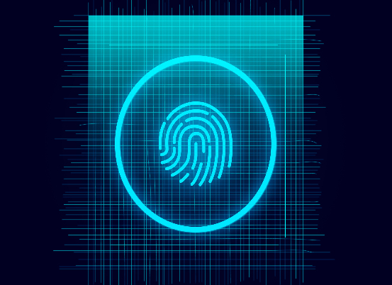 Embedded fingerprint