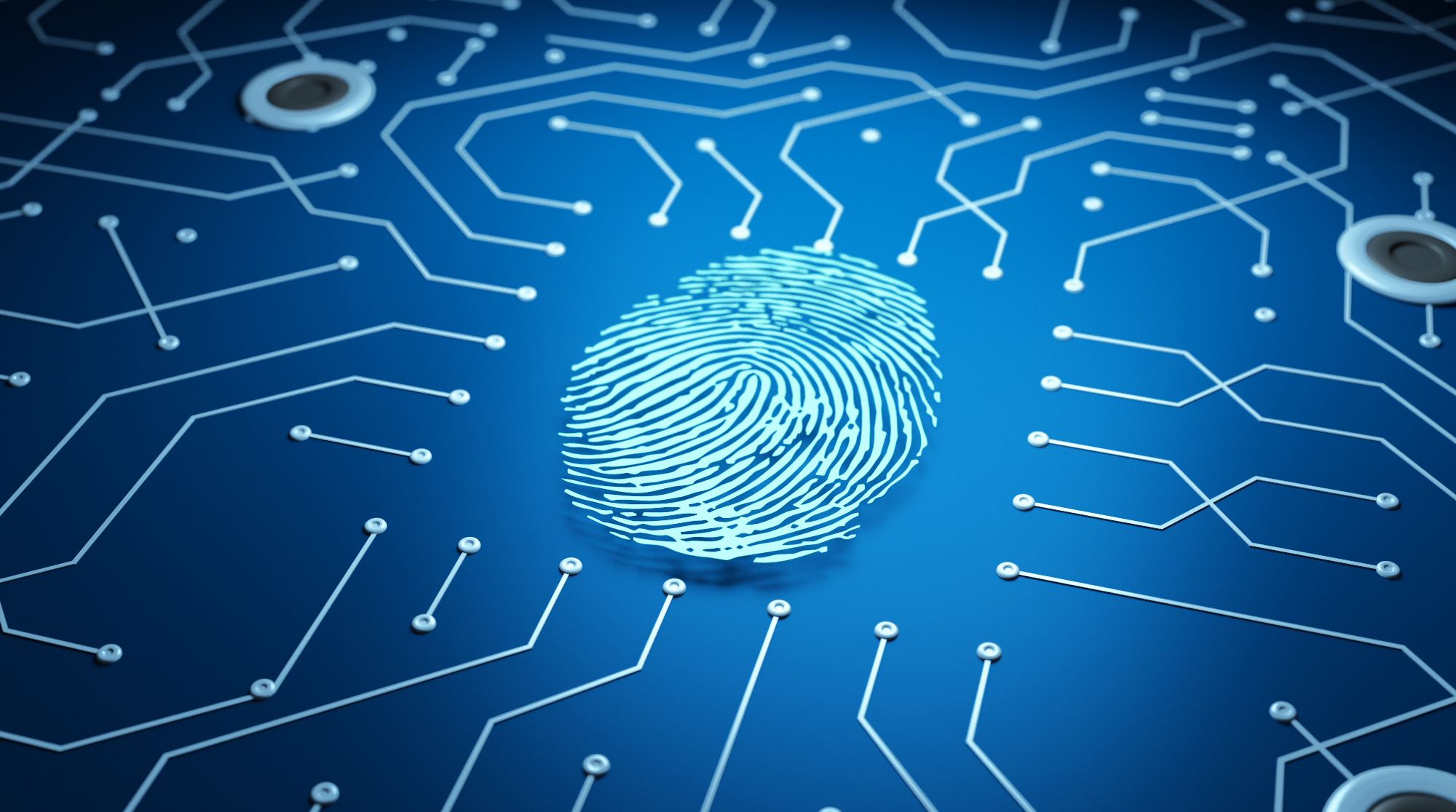 In 2014, the small array fingerprint sensing chip was introduced